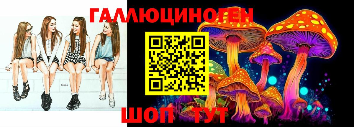 Галлюциногенные грибы GOLDEN TEACHER Россия